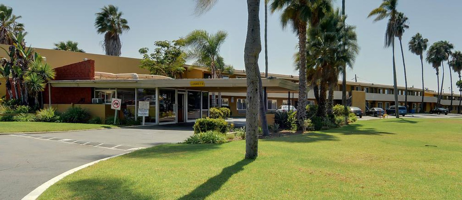  EXPLORE THE AMENITIES AND SERVICES AT THE HOTEL PALMERAS